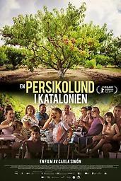 Filmaffisch till en persikolund i katalonien